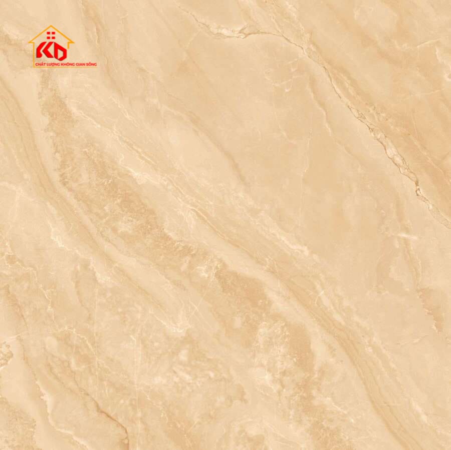 Gạch Viglacera 60x60cm SH-GP802