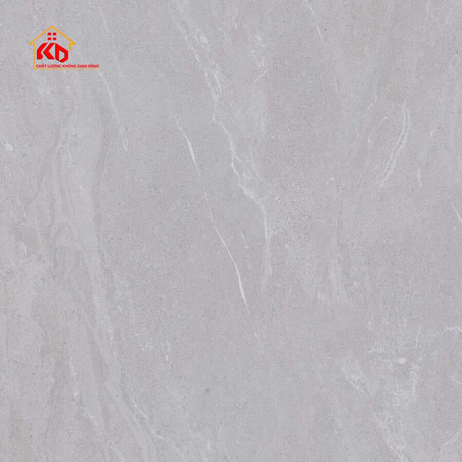 Gạch Viglacera 60x60cm