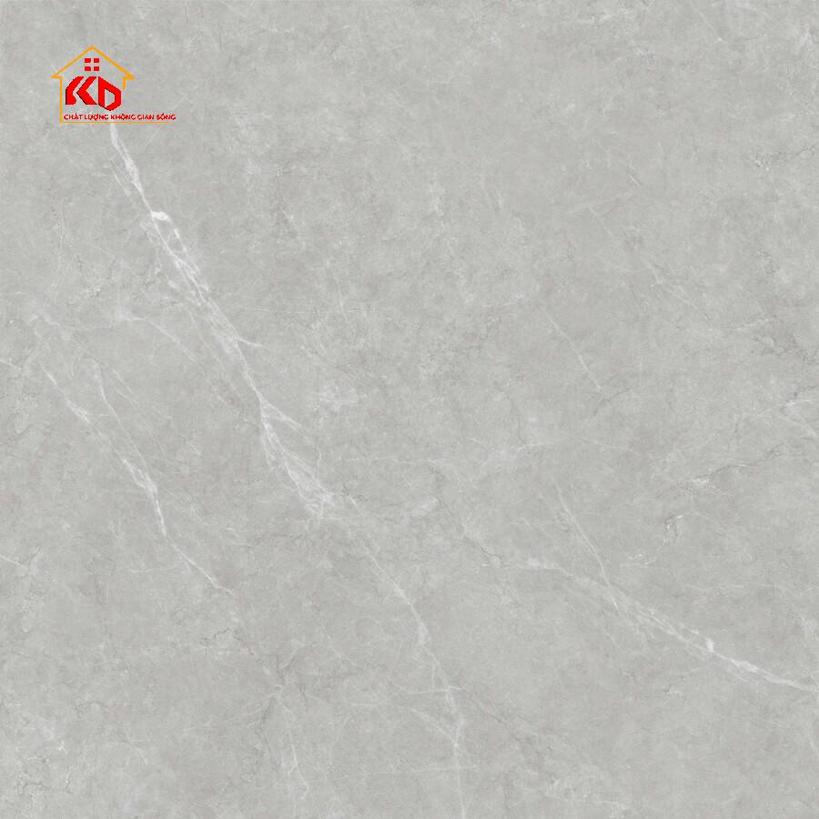 Gạch Việt ý 60x60cm GA-M66006