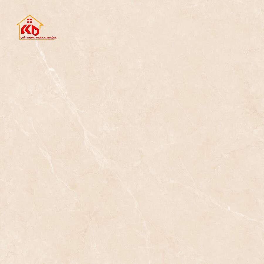 Gạch Việt ý 60x60cm GA-M66008