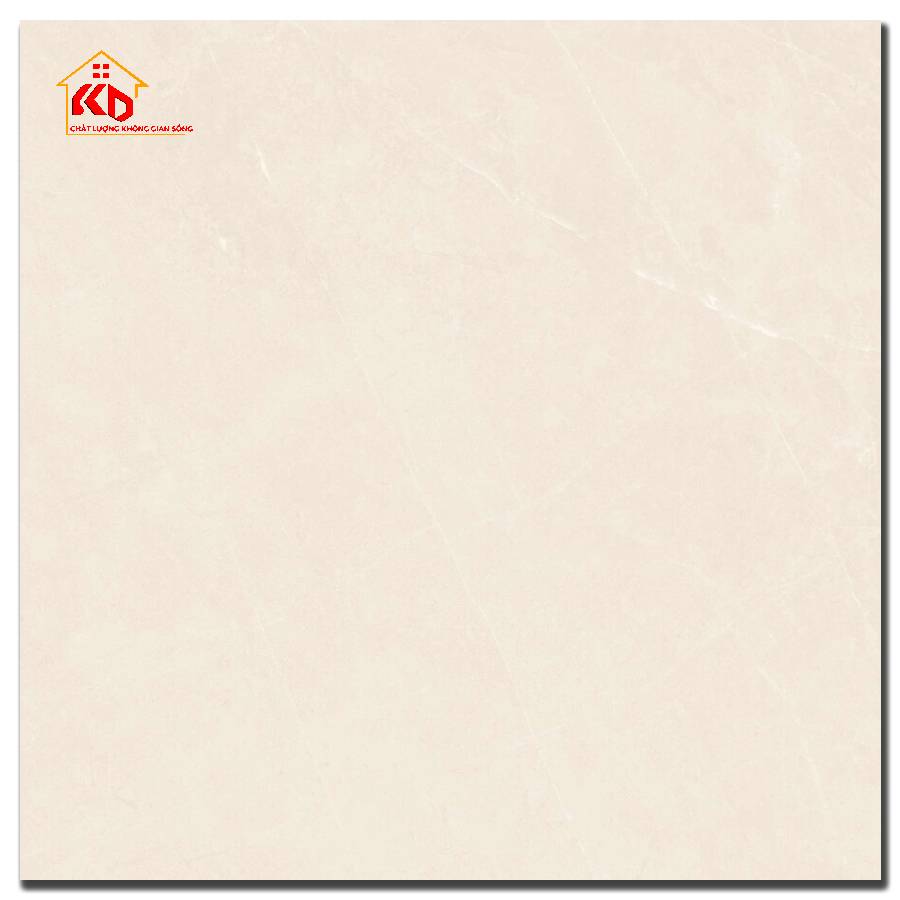 Gạch Việt ý 60x60cm VY1-M66004