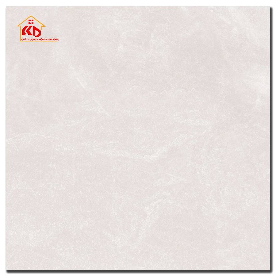 Gạch Việt ý 60x60cm VY1-M66005