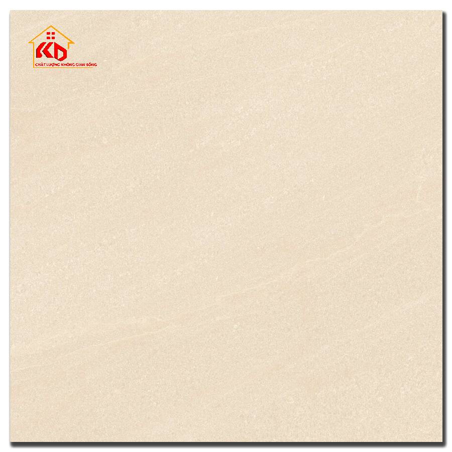 Gạch Việt ý 60x60cm VY1-M66009