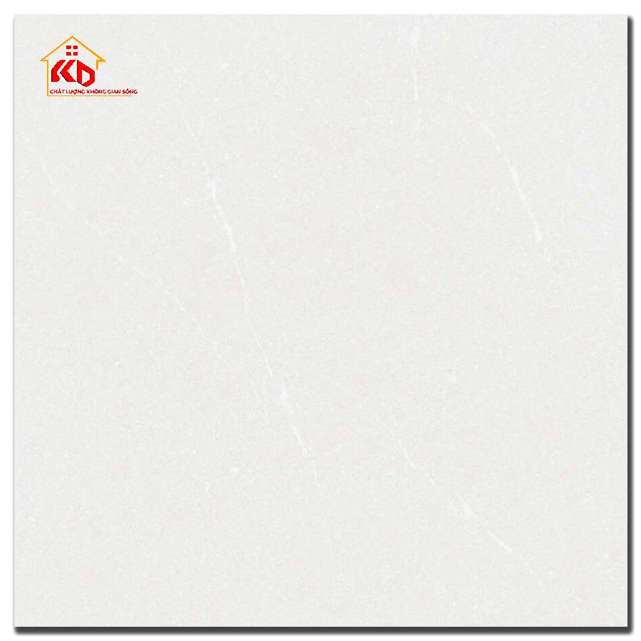 Gạch Việt ý 60x60cm VY1-M66011