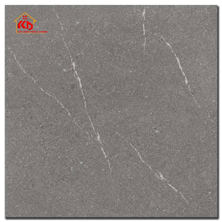 Gạch Việt ý 60x60cm VY1-M66012
