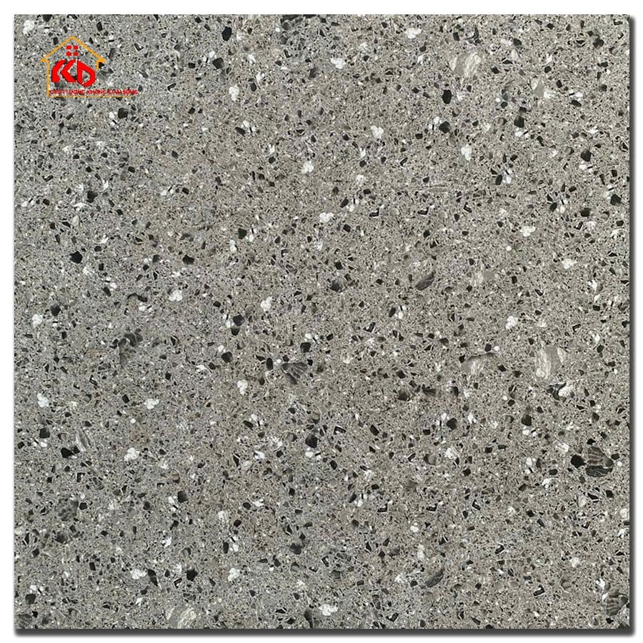Gạch Terrazzo 60x60cm 66204