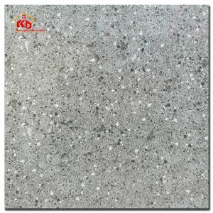 Gạch Terrazzo 60x60cm