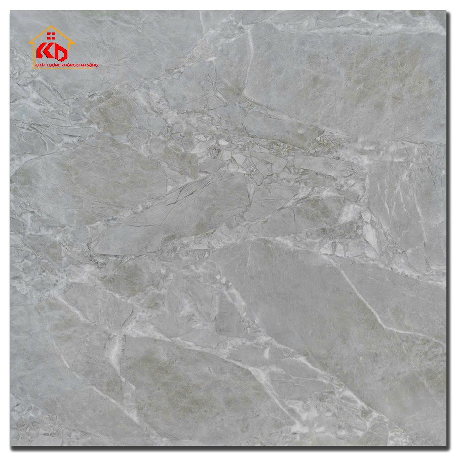 Gạch CMC 60x60cm CCG 60.60005