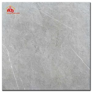 Gạch CMC 60x60cm CCM 60.60.008