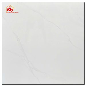 Gạch CMC 100x100cm