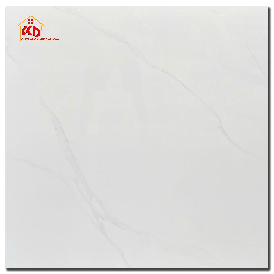 Gạch CMC 100x100cm