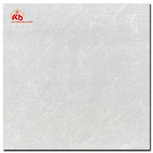 Gạch CMC 100x100cm