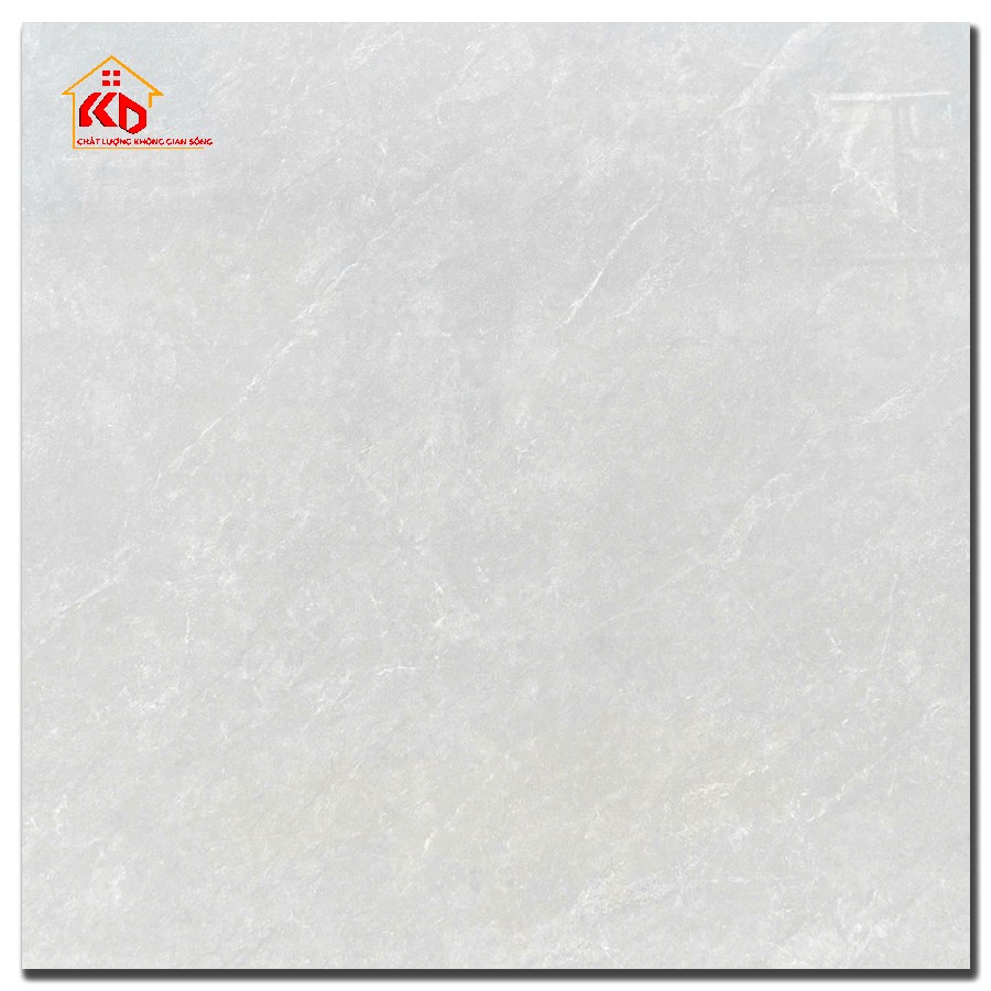 Gạch CMC 100x100cm CPD 11002