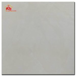 Gạch CMC 100x100cm