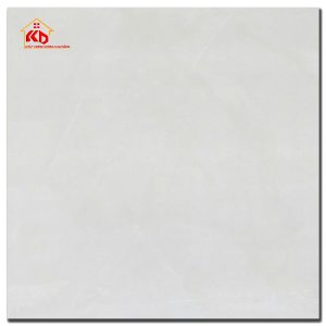 Gạch CMC 60x60cm
