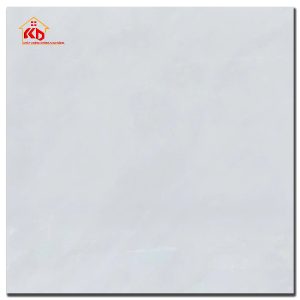 Gạch CMC 60x60cm