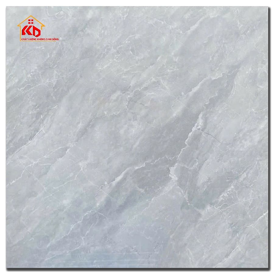 Gạch CMC 60x60cm CSG 60.60148