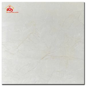 Gạch CMC 60x60cm