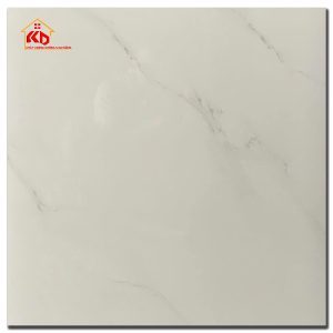 Gạch CMC 60x60cm