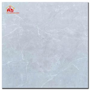 Gạch CMC 80x80cm