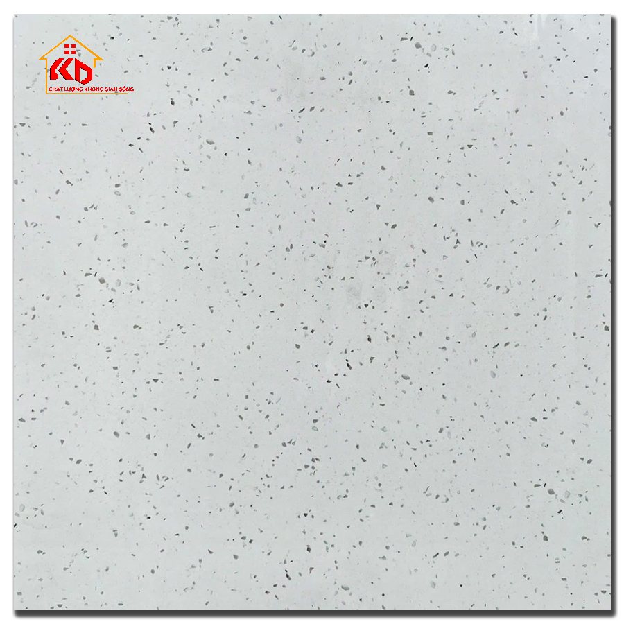 Gạch Terrazzo 60x60cm