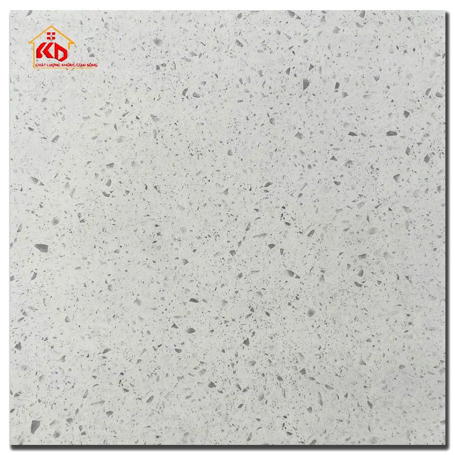 Gạch Terrazzo 60x60cm