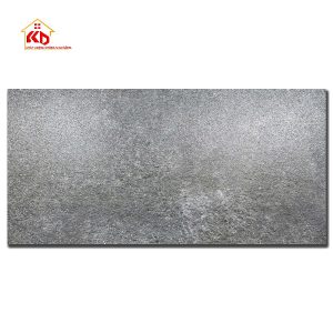 Gạch sân vườn 40x60cm