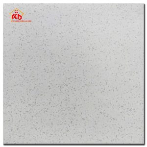 Gạch Terrazzo 60x60cm