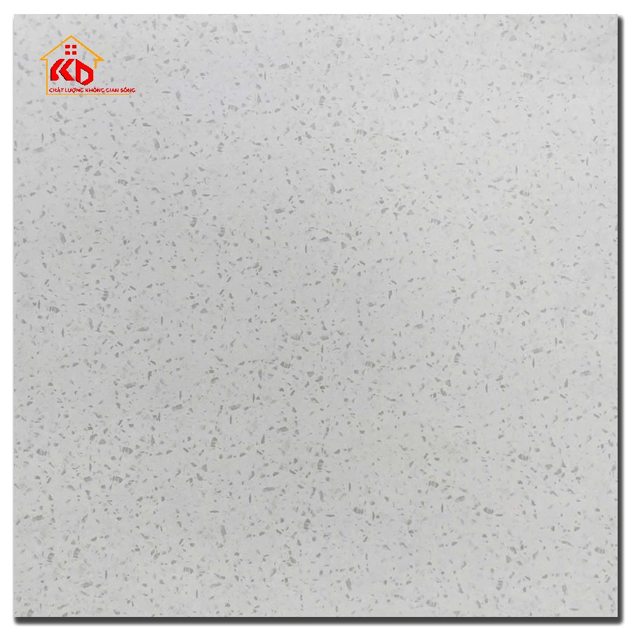 Gạch Terrazzo 60x60cm