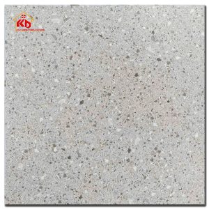 Gạch Terrazzo 60x60cm