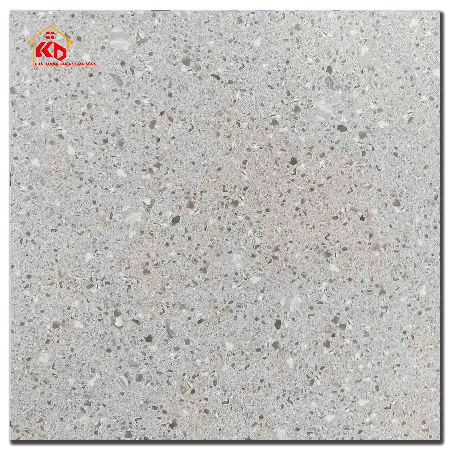 Gạch Terrazzo 60x60cm