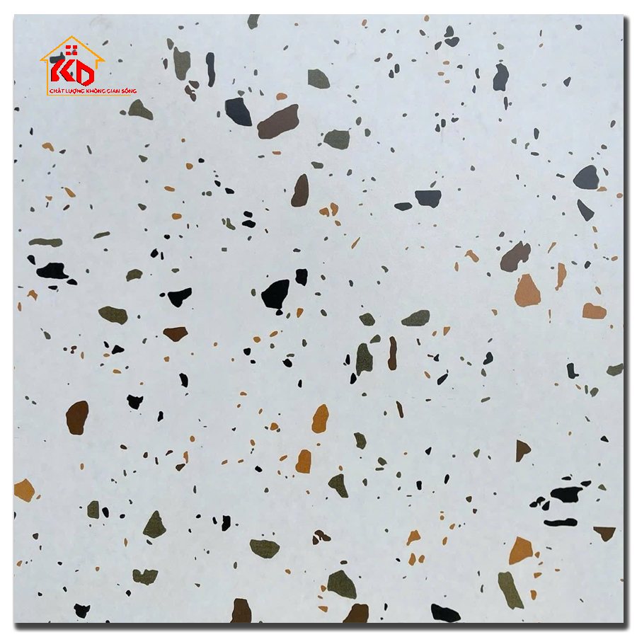 Gạch Terrazzo 60x60cm