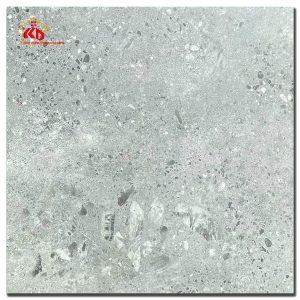 Gạch Terrazzo 60x60cm