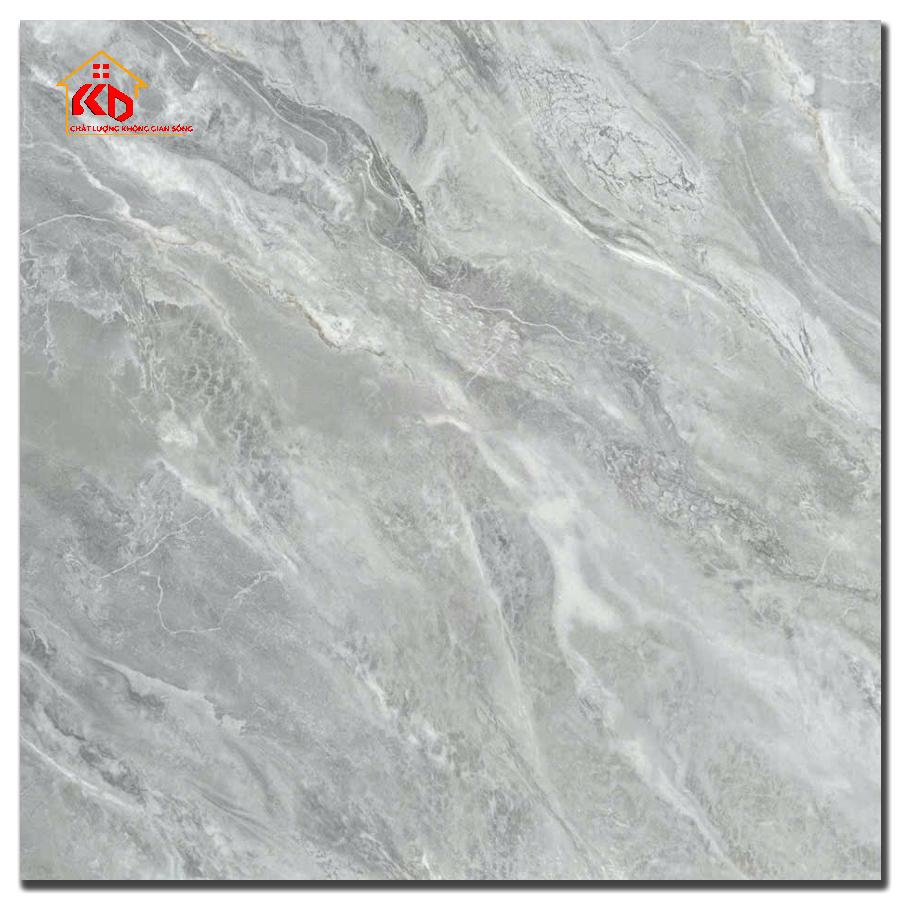 Gạch Viglacera 100x100cm NY54 9GP101001