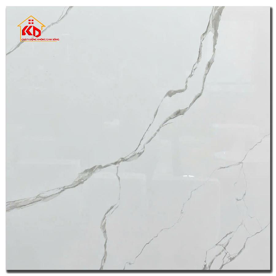 Gạch Viglacera 100x100cm VA1 9GP101001