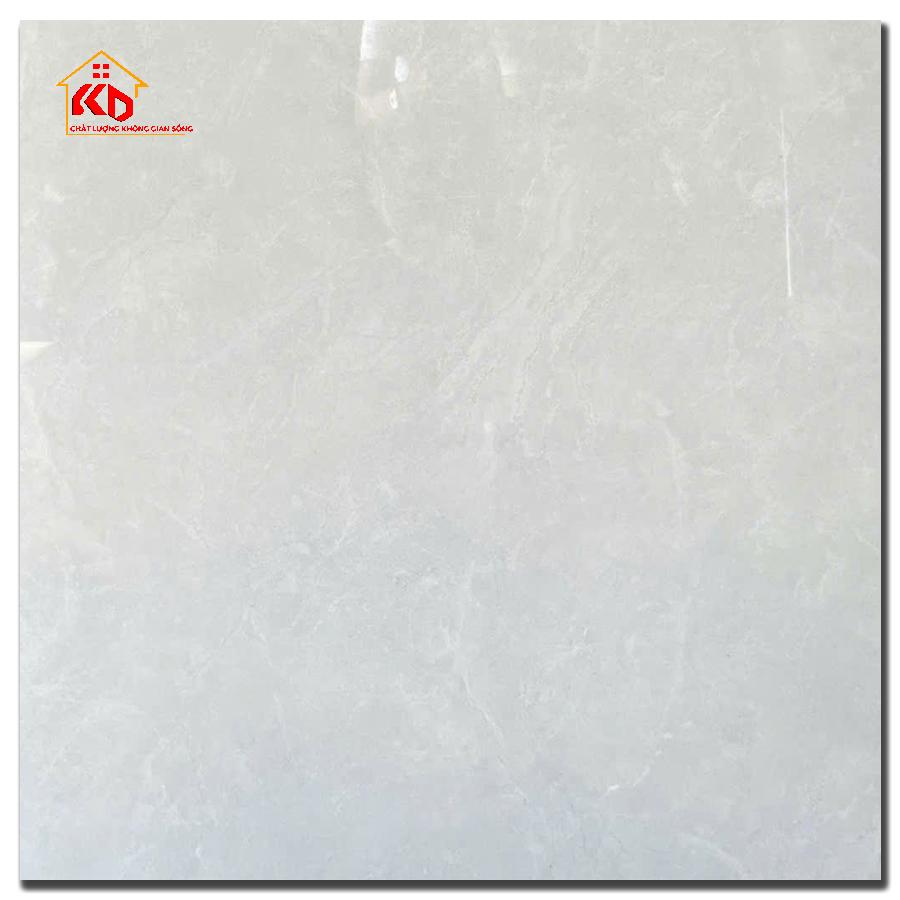 Gạch Viglacera 100x100cm VA25 P101001