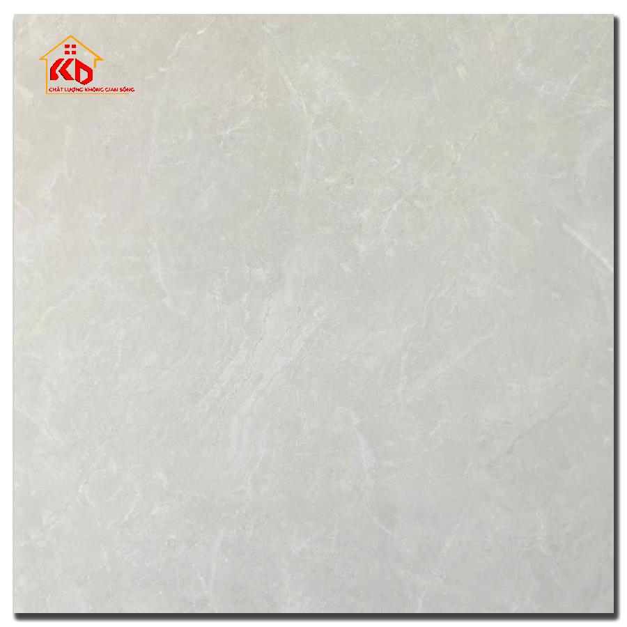 Gạch Viglacera 100x100cm VA25 P101002