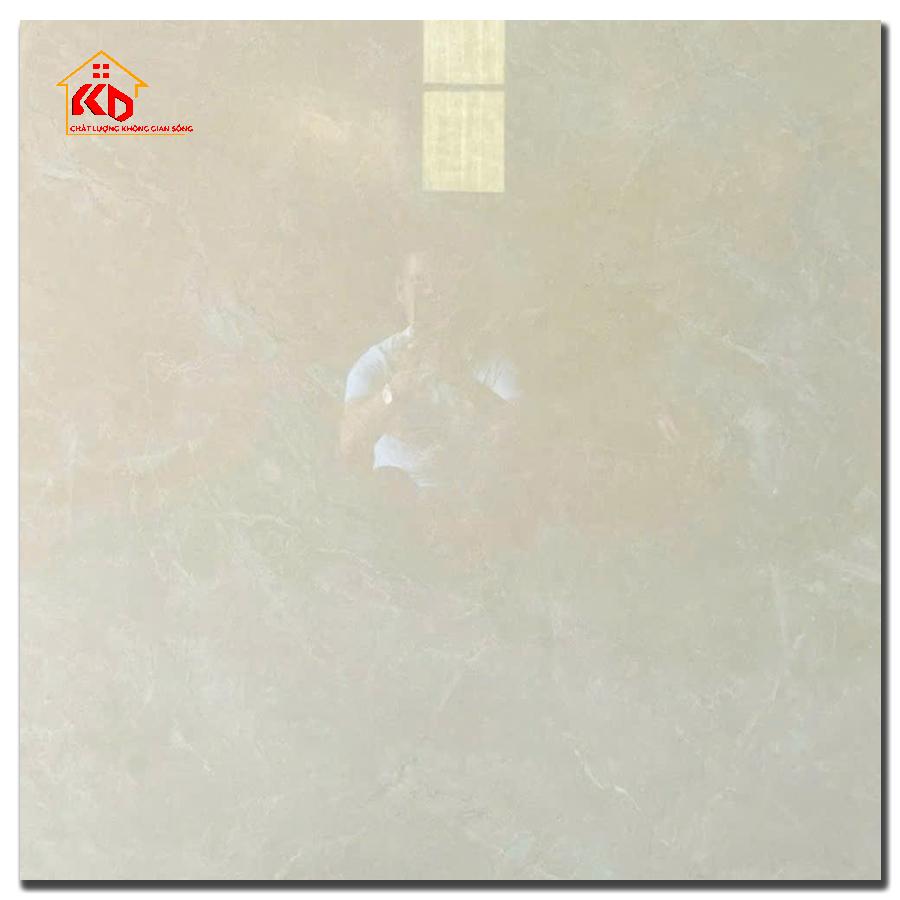 Gạch Viglacera 100x100cm VA25 P101003