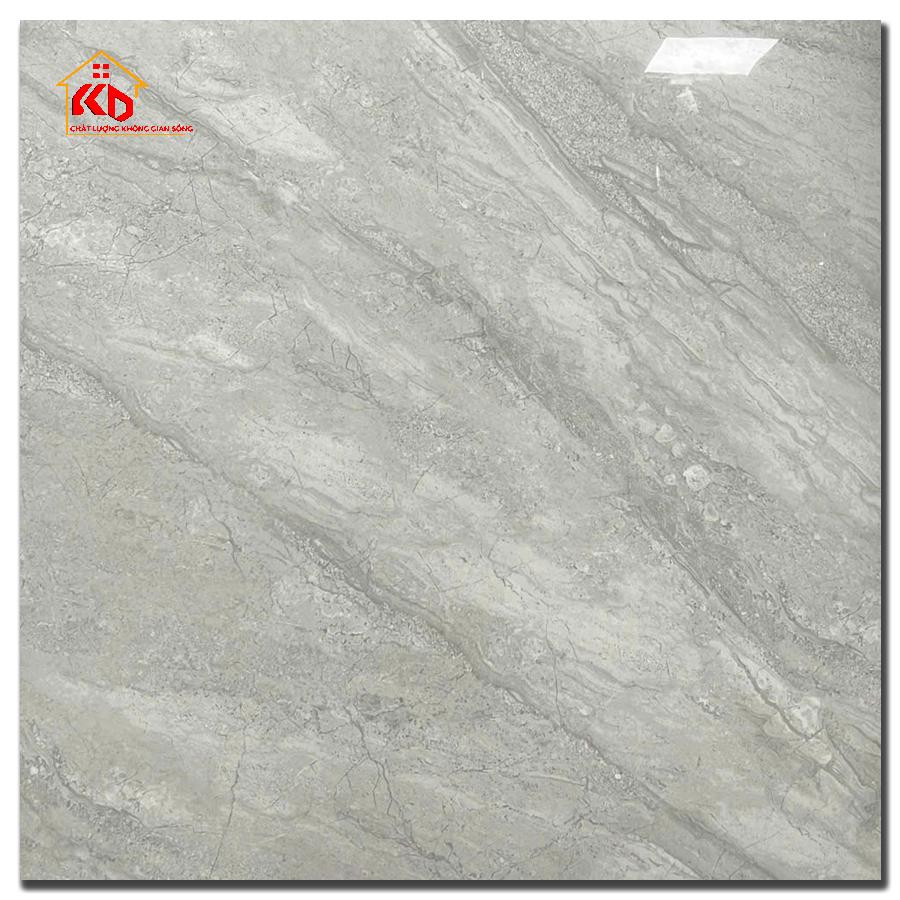 Gạch Viglacera 100x100cm VA3 9GP101001