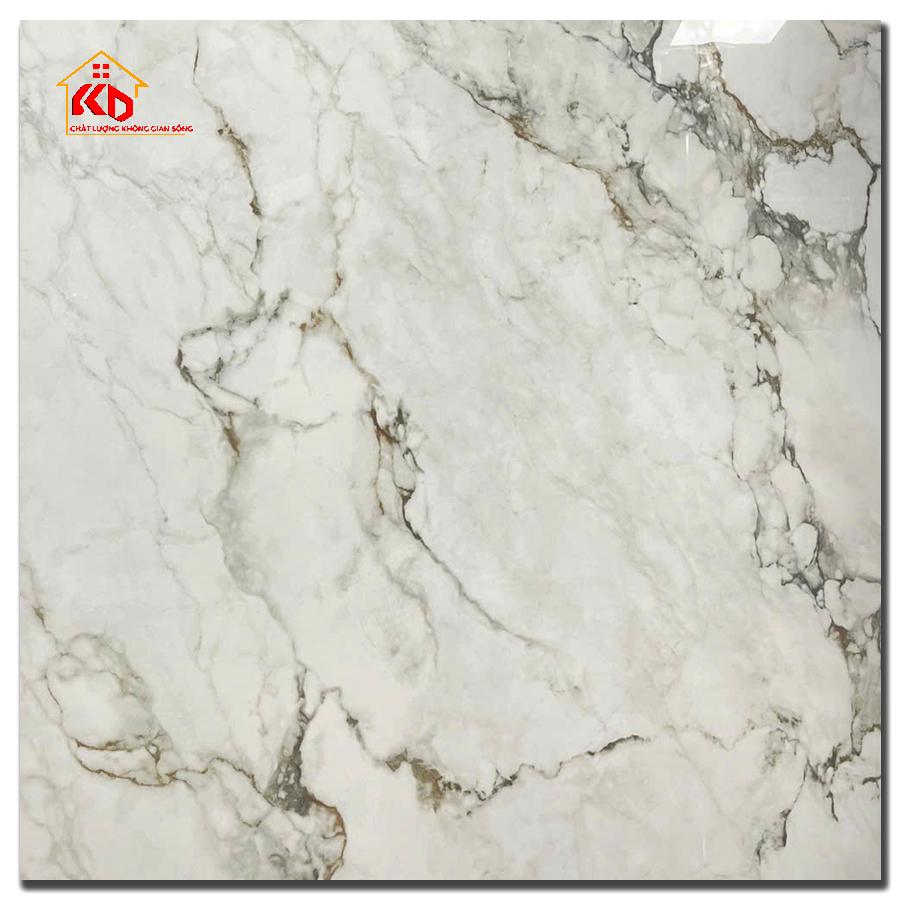 Gạch Viglacera 100x100cm VA6 9GP101001