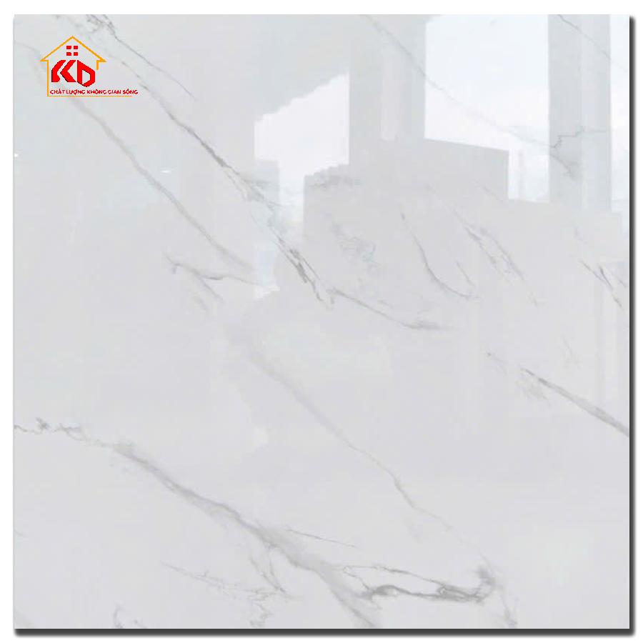 Gạch Viglacera 100x100cm VHP GP101001