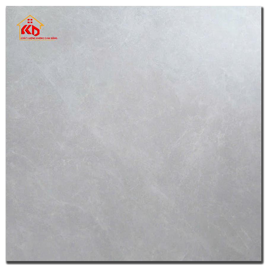 Gạch Viglacera 100x100cm VHP GSM101006