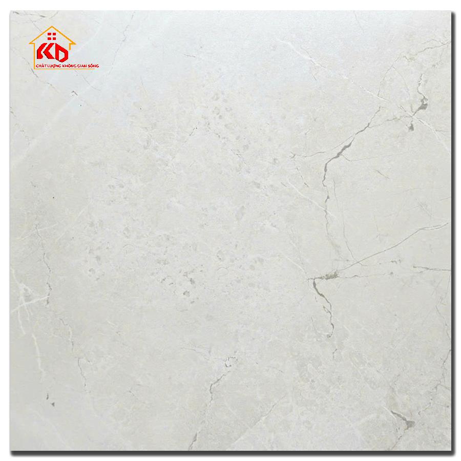 Gạch Ấn Độ 60x60cm Allen Bianco