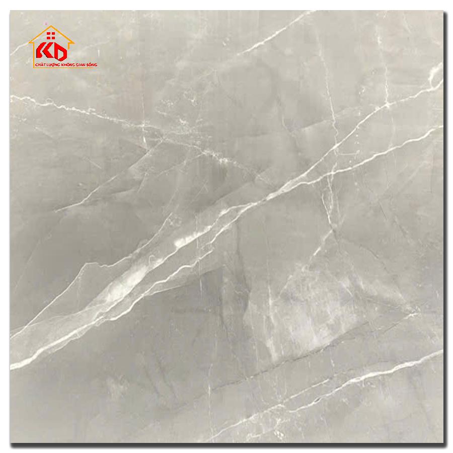 Gạch Ấn Độ 120x120cm Armani Grey