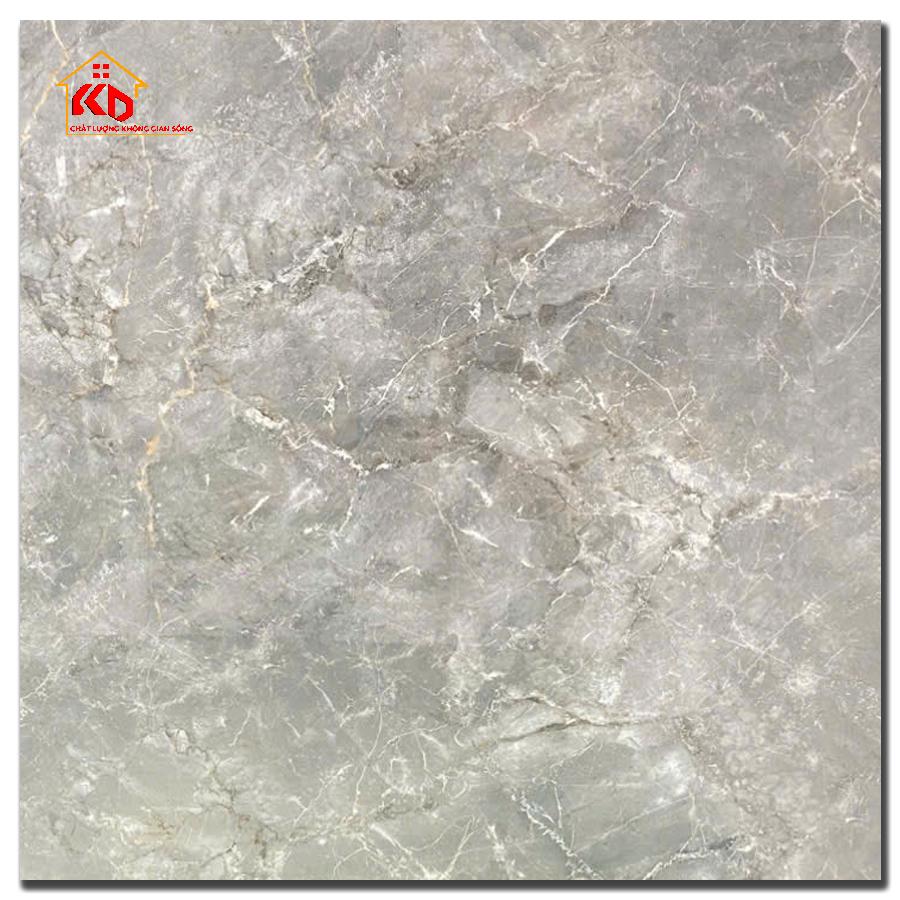 Gạch Ấn Độ 100x100cm Botam