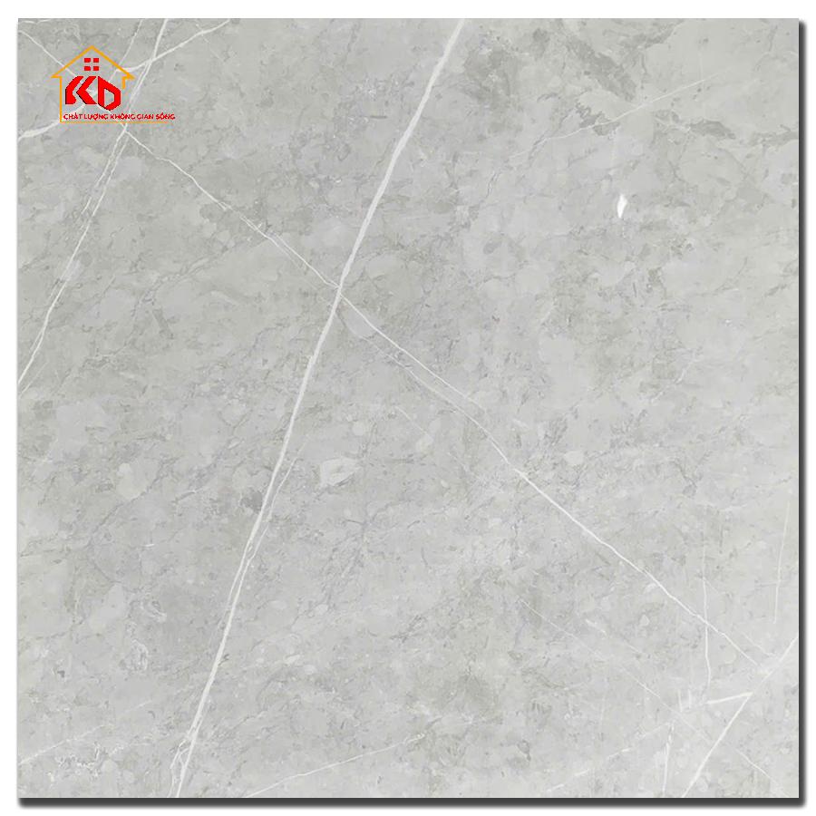 Gạch Ấn Độ 80x80cm Ciana Light Grey Glossy