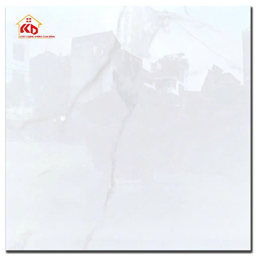 Gạch Malaysia 60x60cm D605