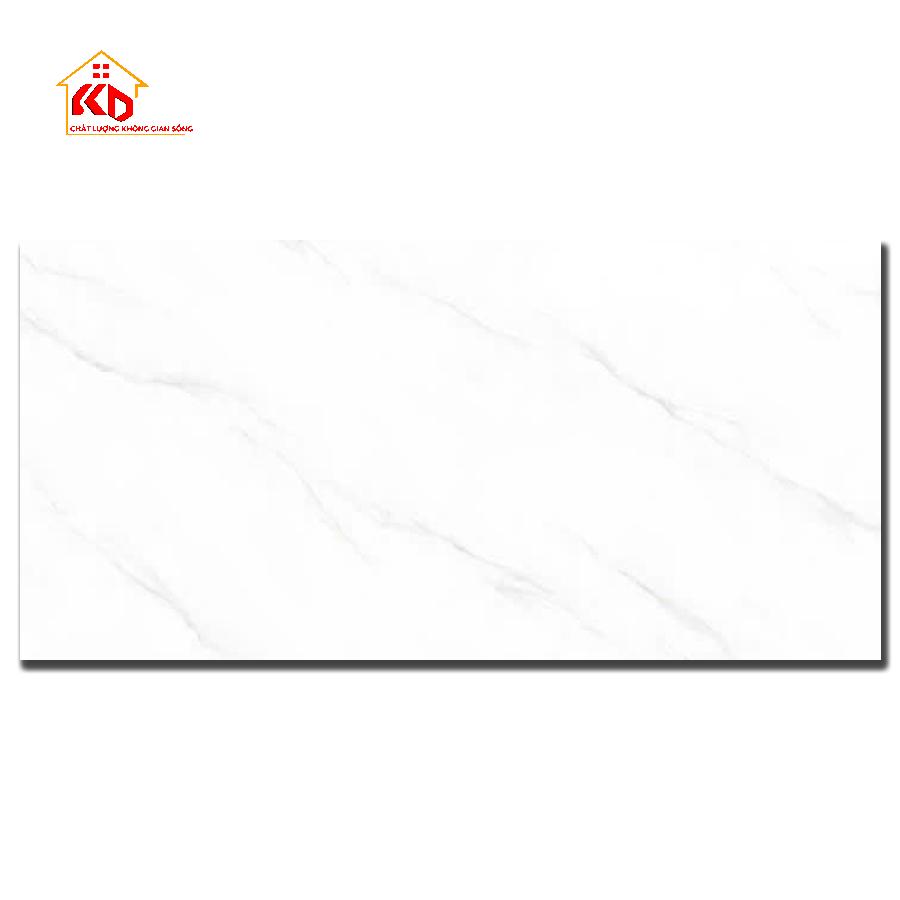 Gạch Granite 60x120cm M601201