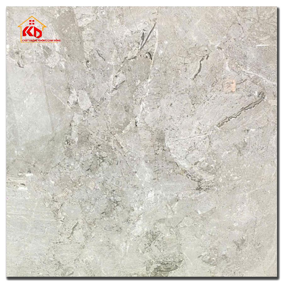 Gạch Ấn Độ 100x100cm Pizar