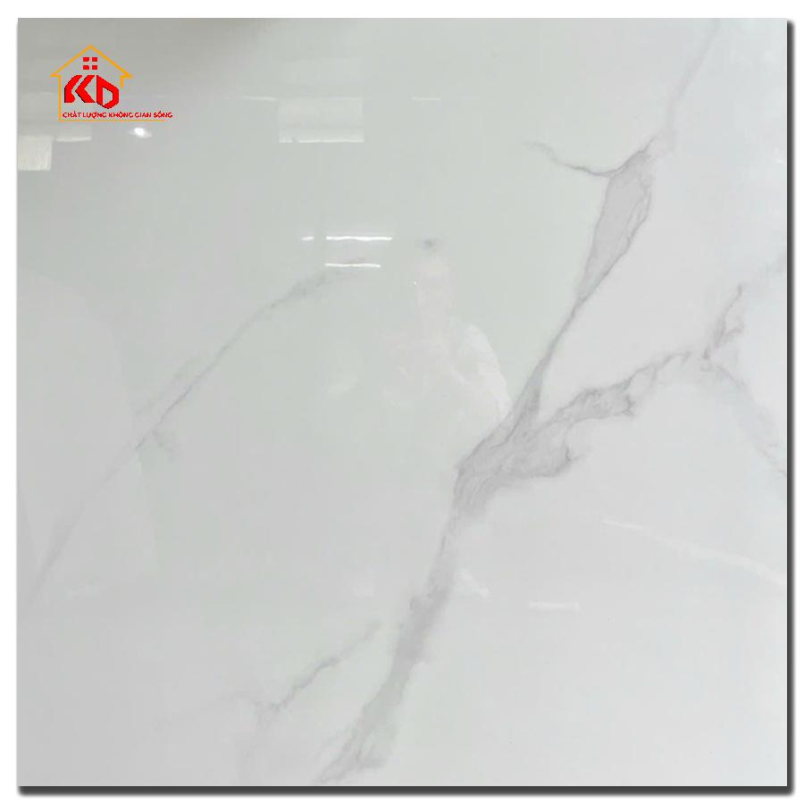 Gạch Grand 80x80cm SMP88010